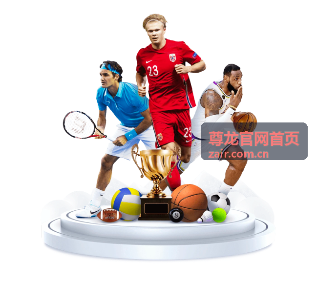尊龙官网首页功能操作详解